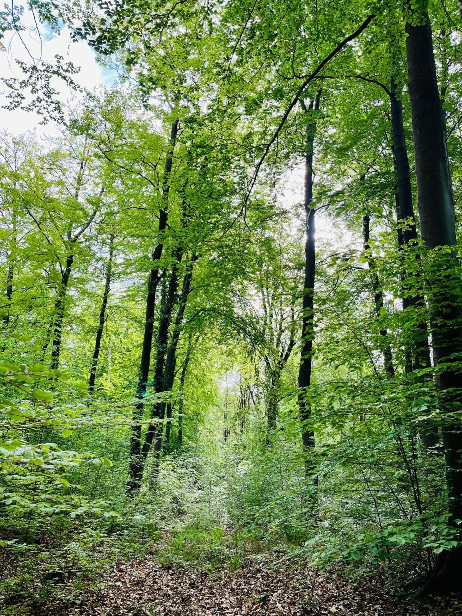 Kornspeicher Himmelpfort Exteriör bild